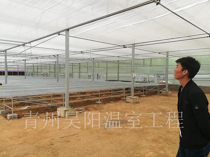 青州市昊阳温室工程 绿色田野上的科技奇迹