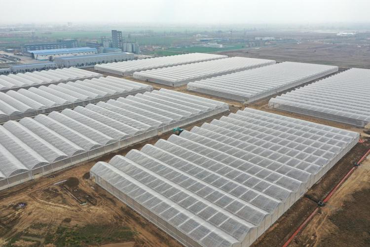 智能温室工厂亲测分享 哪些真的靠谱？温室工程设计避坑指南