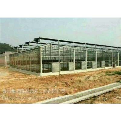 阳光板温室大棚设计施工一体化 福州专业加工工厂与工程服务全解析