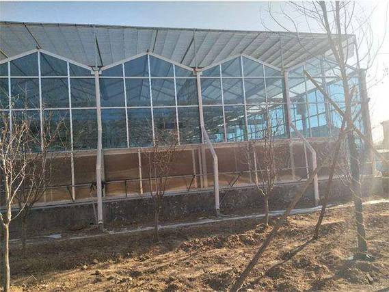 山东大楚温室工程 以专业设计筑基，赋能现代农业高质量发展
